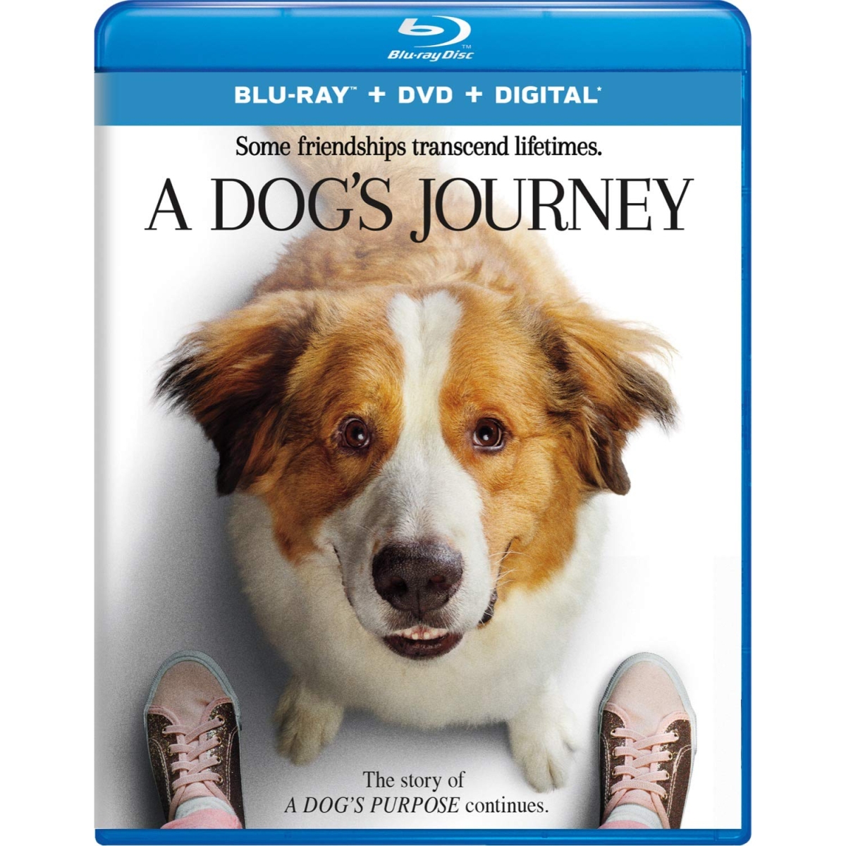 book a dog's journey